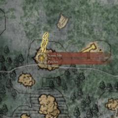 https://www.convergencemod.com/wp-content/uploads/2024/02/Merchant-Patches-L2-Map-240x240.png