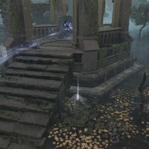 https://www.convergencemod.com/wp-content/uploads/2024/08/Smithing-Stone-Corpse-1x-Liurnia-Laskyar-Ruins-300x300.jpg