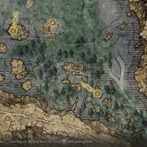 https://www.convergencemod.com/wp-content/uploads/2024/08/Smithing-Stone-Corpse-1x-Liurnia-Laskyar-Ruins-Map-300x300.jpg
