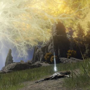 https://www.convergencemod.com/wp-content/uploads/2024/08/Smithing-Stone-Corpse-2x-Liurnia-Frenzied-Flame-Tower-300x300.jpg