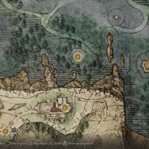 https://www.convergencemod.com/wp-content/uploads/2024/08/Smithing-Stone-Corpse-2x-Liurnia-Village-of-the-Albinaurics-Map-300x300.jpg