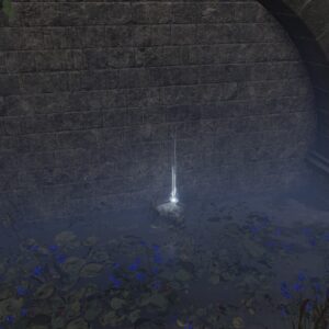 https://www.convergencemod.com/wp-content/uploads/2024/08/Smithing-Stone-Corpse-3x-Liurnia-Academy-Gate-Town-300x300.jpg