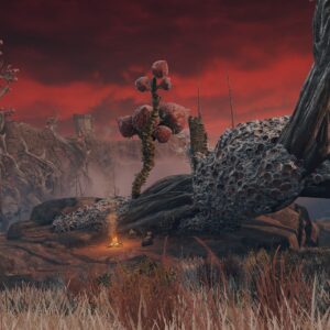 https://www.convergencemod.com/wp-content/uploads/2024/11/West-Caelid-Divine-Merchant-Wide-Angle-300x300.jpg