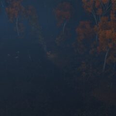 https://www.convergencemod.com/wp-content/uploads/2026/01/Boggart-Wide-Angle-2-240x240.jpg