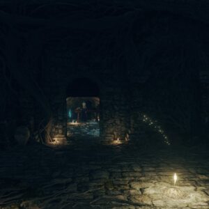 https://www.convergencemod.com/wp-content/uploads/2026/01/Sellen-Wide-Angle-300x300.jpg